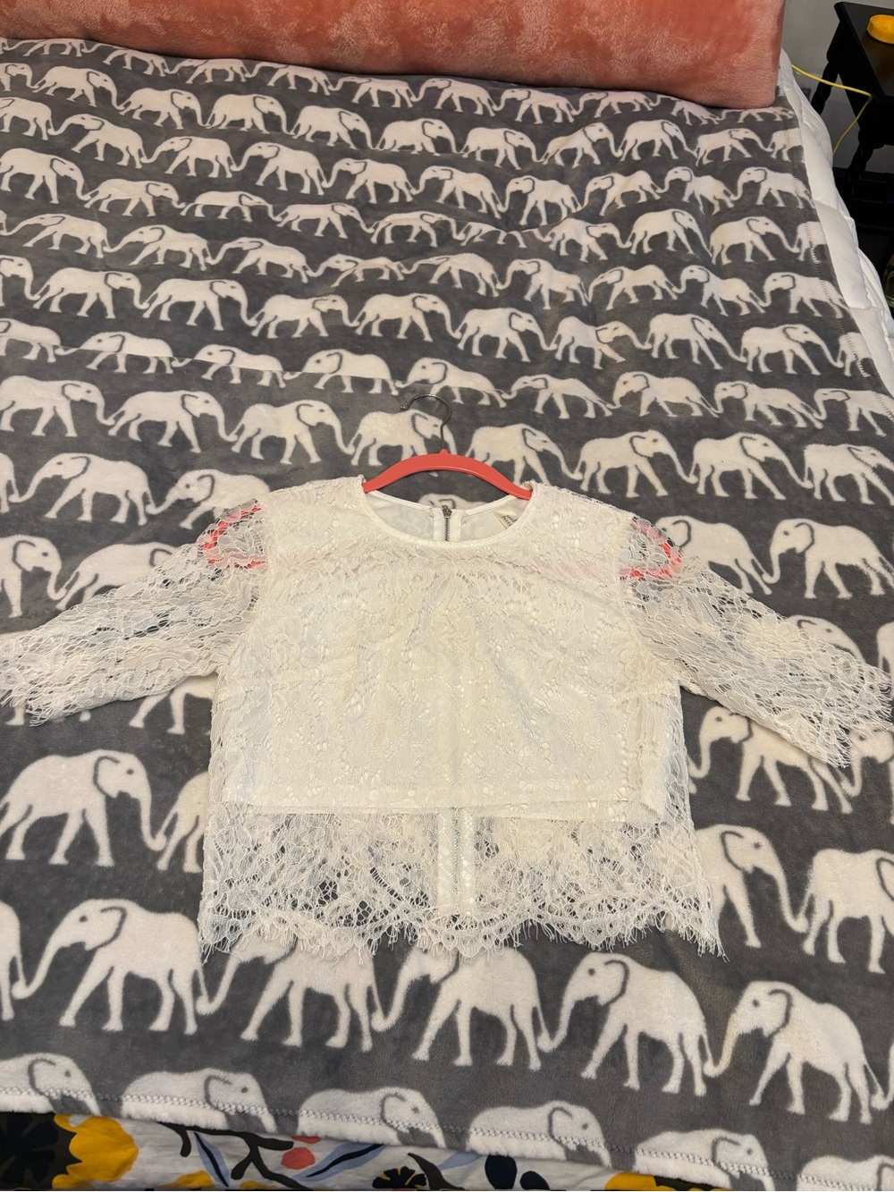 White Lace Crop Top - Delicate Overlay
